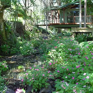 Treetops **** Montville